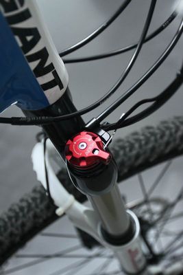 Giant Terrago Upgrade (14).JPG