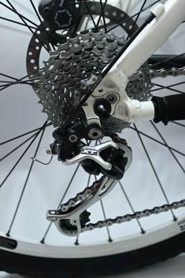 Giant Terrago Upgrade (17).JPG