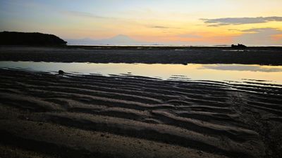 IMG_20250501_060510.jpeg