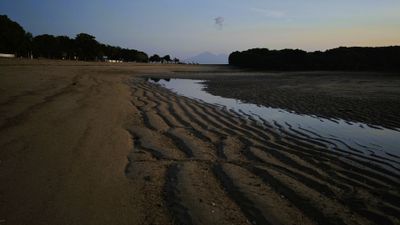 IMG_20250501_060631.jpeg