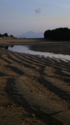 IMG_20250501_060658.jpeg