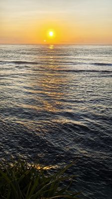IMG_20250501_063534.jpeg
