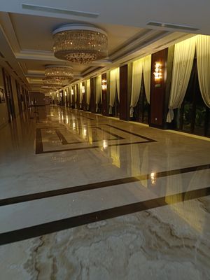 IMG_20220708_194833.jpeg
