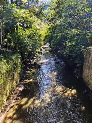 IMG_20220709_104942.jpeg