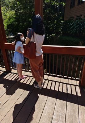 IMG_20220709_105111.jpeg