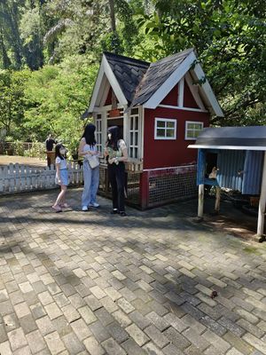 IMG_20220709_113902.jpeg