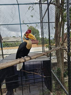 IMG_20220710_104635.jpeg