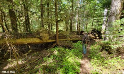 Cedar log, Mile 3.3