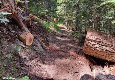 Cleared Jun 7, 2023, Mile 0.32 newer trail