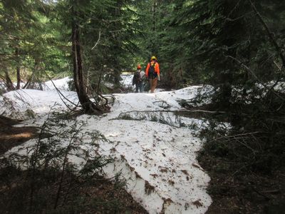 Near Wilderness Boundary 6-7-23