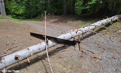 Road/Turnaround loop cleared at Kincaid camp spot 6-22-23