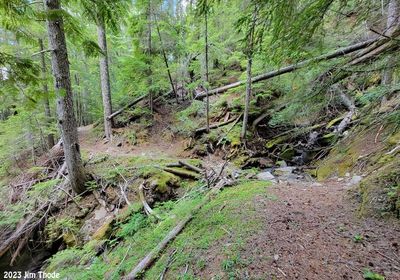 Kincaid Trail just before Carton Trail fork