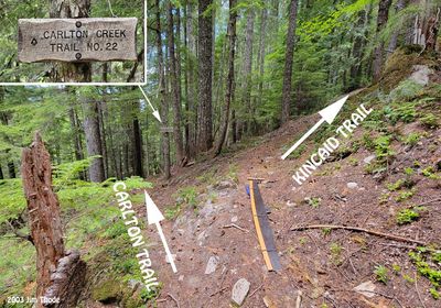 Kincaid / Carton Fork 46.71415, -121.50007 (one mile from trailhead)