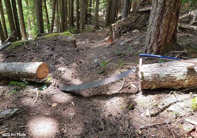 Windfalls on Carton Trail - Cleared 6-22-23