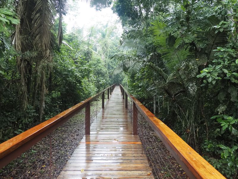 Walkway to rooms