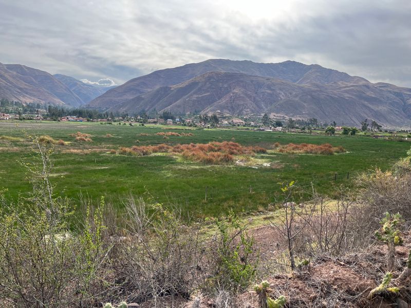 Marsh outside Cusco