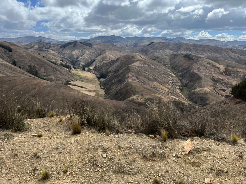 Above treeline - Andean Mtns