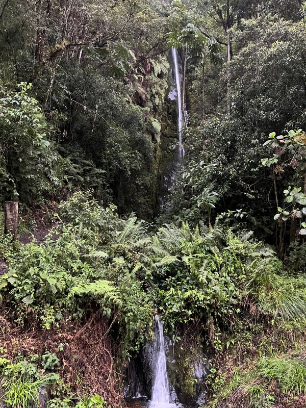 Waterfalls are common along the Manu Road