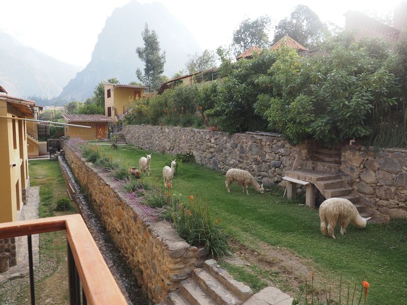 Tunupa Lodge - terracing and mountain runoff channels of water seen at base of wall.