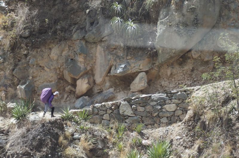Inca Trail Porter - Sacred Valley
