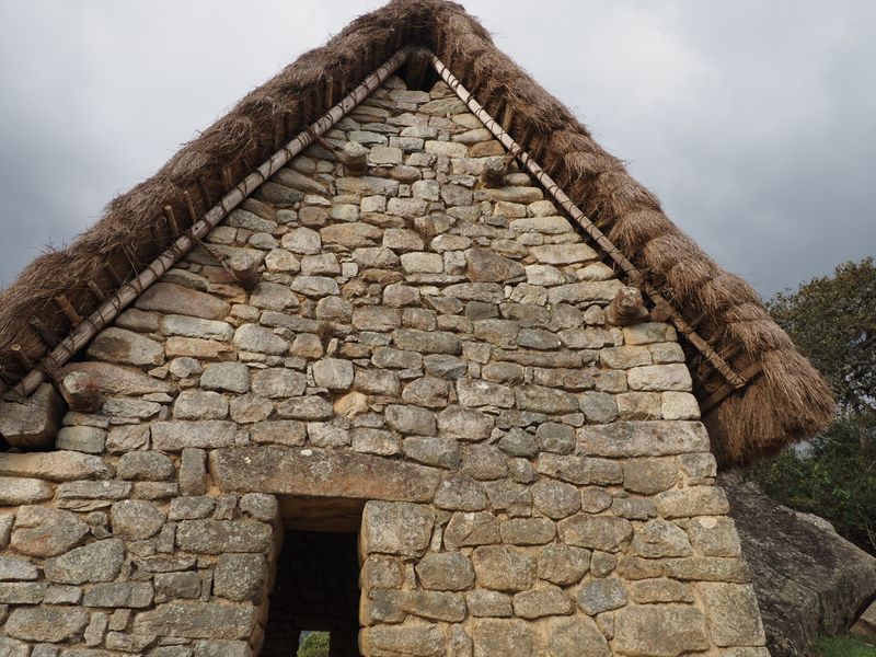 Thatched roof - MP