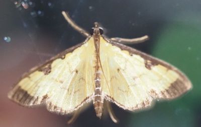 g13/24/6929324/3/174222549.8efbea21.JPEG