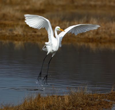 GWE_DPP_MG_8117.jpg