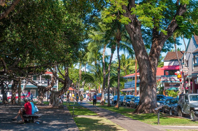 Banyan Tree and Court - over the years