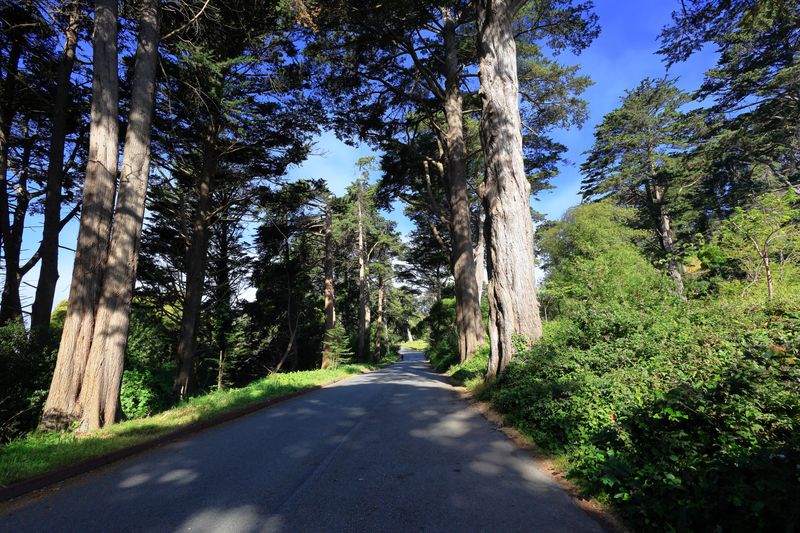 Entrance from MLK Jr Drive