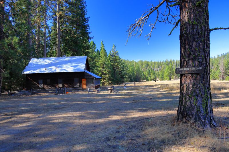 Cow Camp!