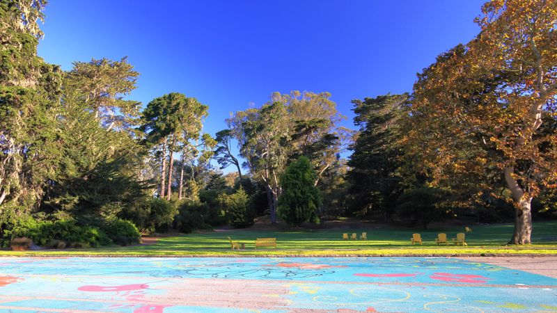 Peacock Meadow