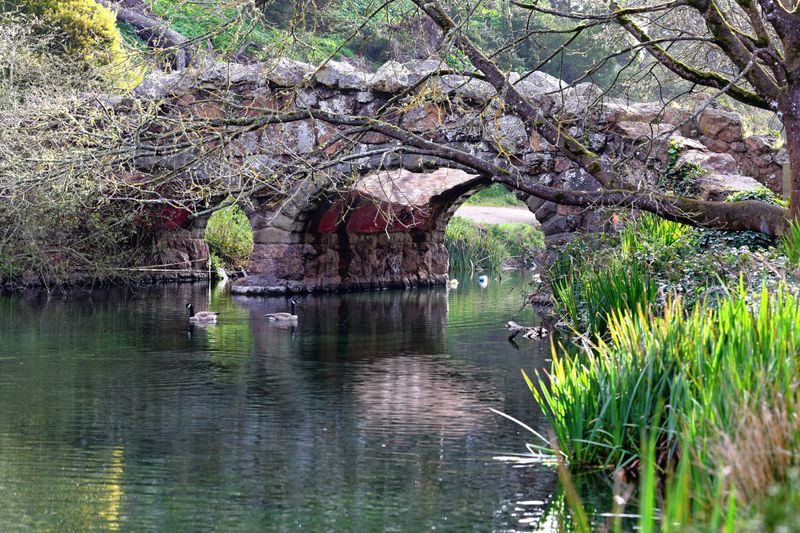 South Bridge (Rustic) access to Strawberry Hill (1893)