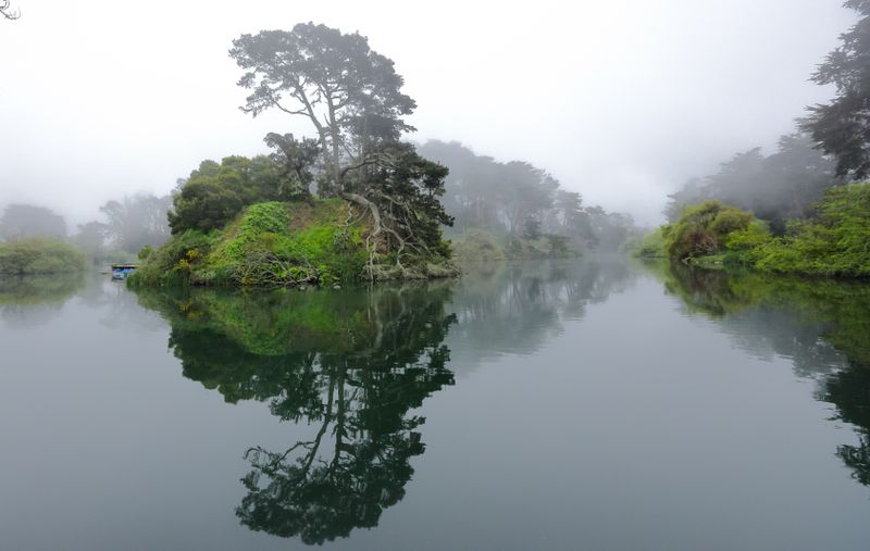 Fog Blanketed Lake