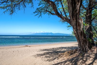 Puunoa Beach (Baby Beach)