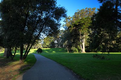 Heading into the Robin Williams Meadow