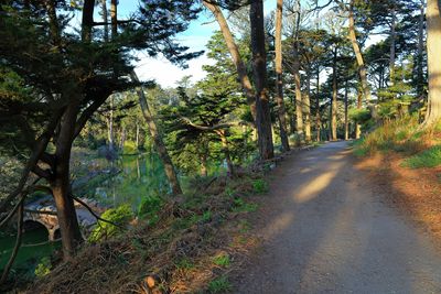 Path to Summit