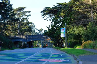 Crossover Drive Bridge