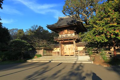 Japanese Tea Garden