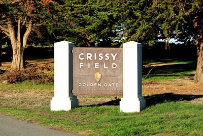 Crissy Field