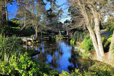 Kezar Drive to Bowling Green Drive