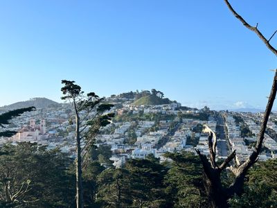 Stow Lake & Strawberry Hill