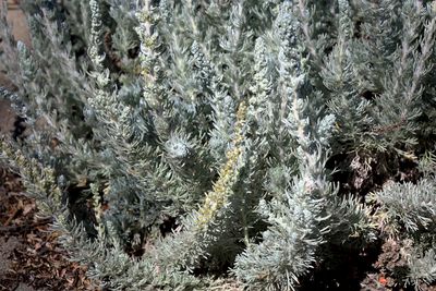g13/24/745724/3/174592491.261ede44.JPEG