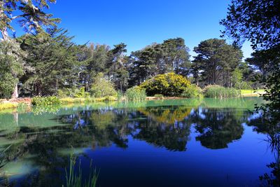 Metson Lake