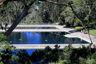 Fly Casting Pools - view from Polo Fields