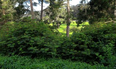 Hellman Hollow Overlook