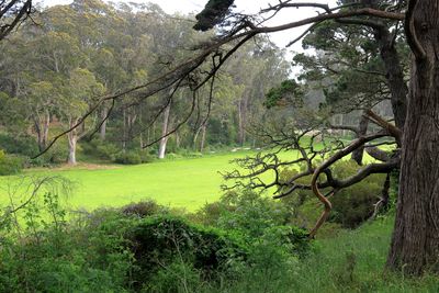 Hellman Hollow Overlook