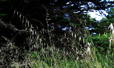 g13/24/745724/3/174617522.7eec2b10.JPEG