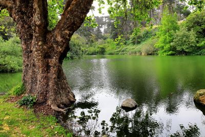 Mallard Lake