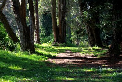 Elk Glen