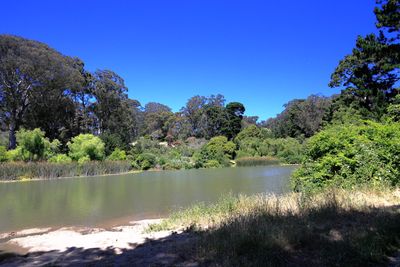 Elk Glen Lake